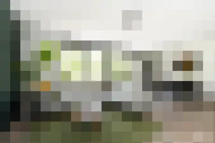 Van Nispensingel 141 Zwolle thumbnail 13