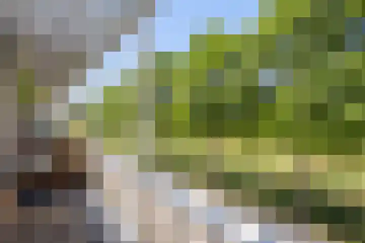 Van Nispensingel 141 Zwolle thumbnail 16