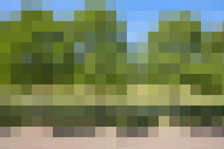 Van Nispensingel 141 Zwolle thumbnail 17