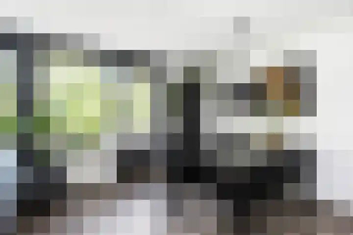 Van Nispensingel 141 Zwolle thumbnail 20