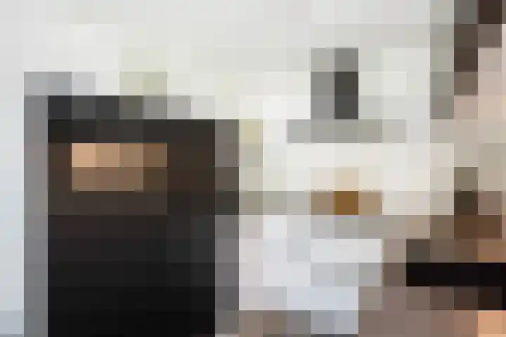 Van Nispensingel 141 Zwolle thumbnail 21