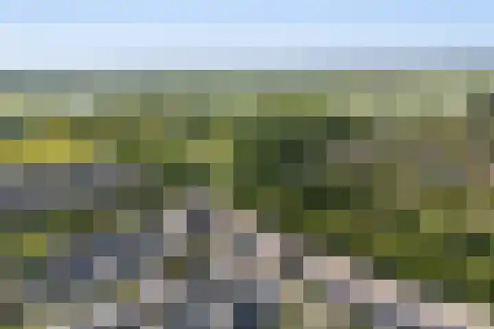 Van Nispensingel 141 Zwolle thumbnail 32