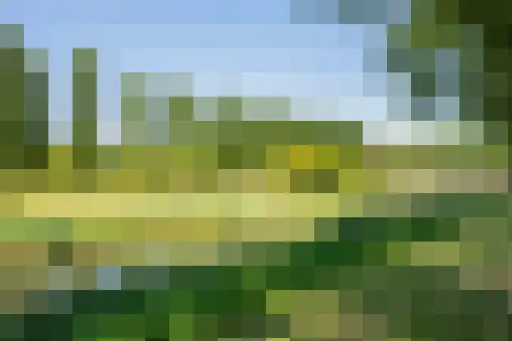 Van Nispensingel 141 Zwolle thumbnail 33