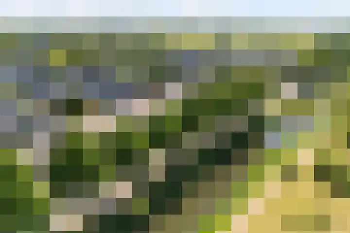 Van Nispensingel 141 Zwolle thumbnail 35
