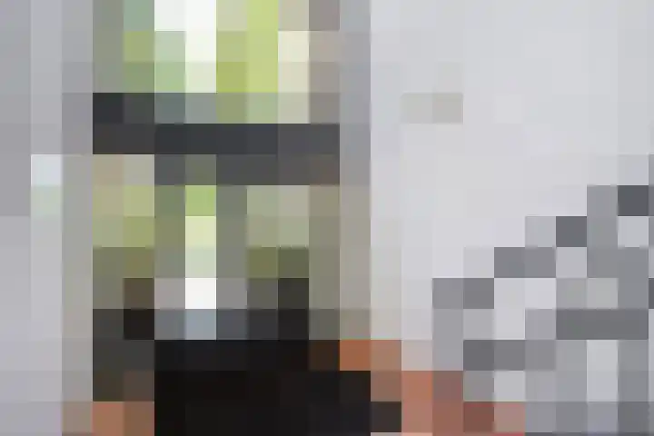 Van Nispensingel 141 Zwolle thumbnail 8