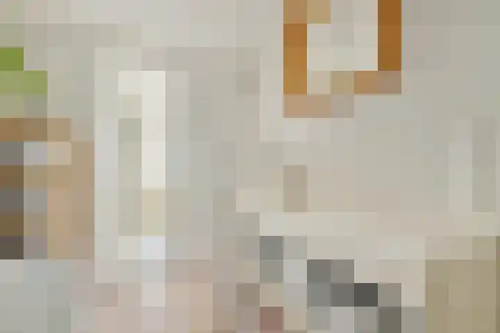 Van Noordtkade 30 E Amsterdam thumbnail 23