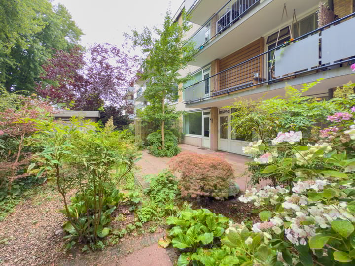 Van Opbergenstraat 22 in Rotterdam foto