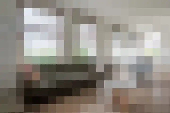 van Osingaweg 78 Schettens thumbnail 12