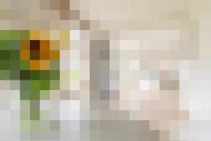 van Osingaweg 78 Schettens thumbnail 18