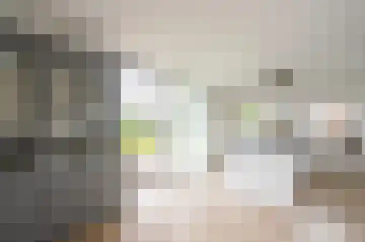 van Osingaweg 78 Schettens thumbnail 22