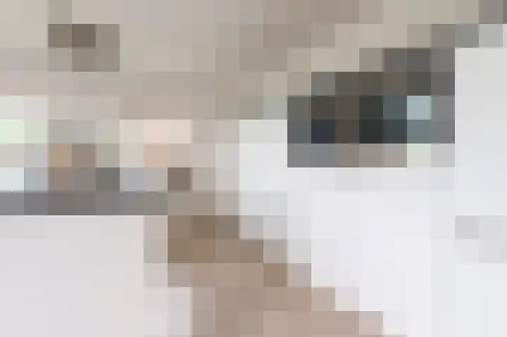 van Osingaweg 78 Schettens thumbnail 27
