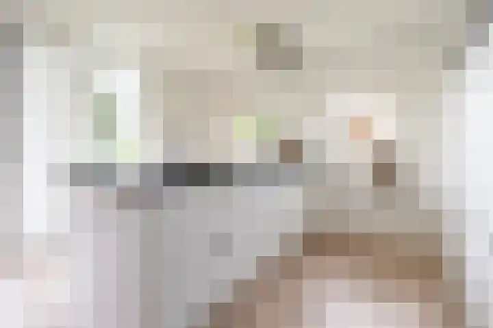van Osingaweg 78 Schettens thumbnail 28