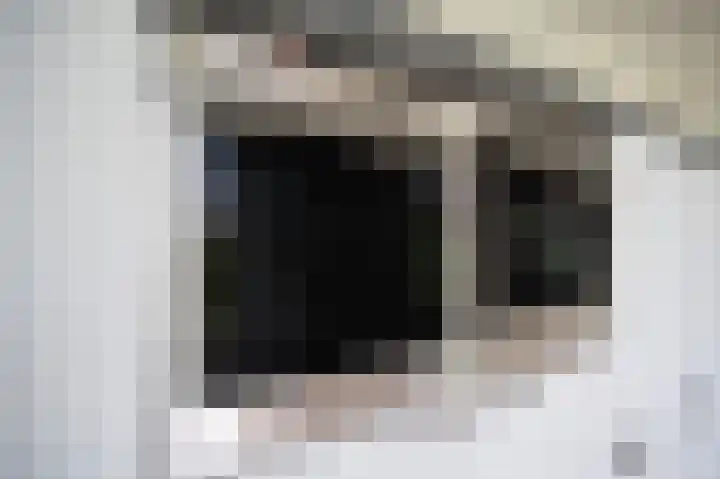 van Osingaweg 78 Schettens thumbnail 29