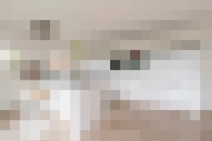 van Osingaweg 78 Schettens thumbnail 30