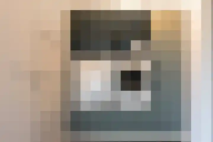 van Osingaweg 78 Schettens thumbnail 37