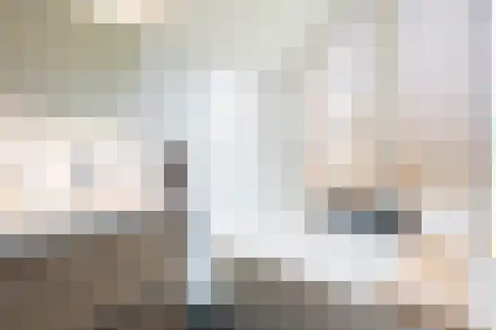 van Osingaweg 78 Schettens thumbnail 46