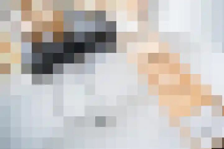 van Osingaweg 78 Schettens thumbnail 48