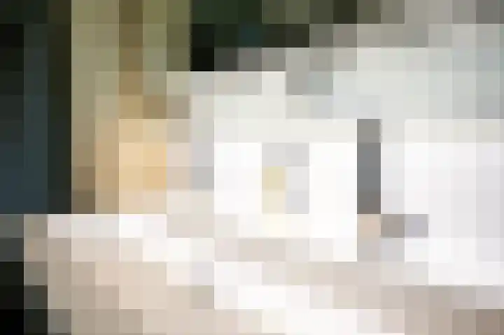 van Osingaweg 78 Schettens thumbnail 50