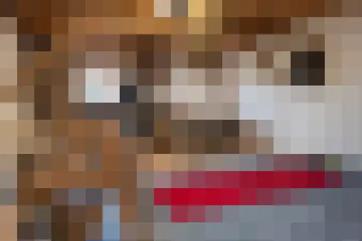 van Osingaweg 78 Schettens thumbnail 55