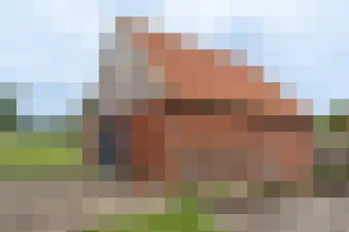van Osingaweg 78 Schettens thumbnail 58