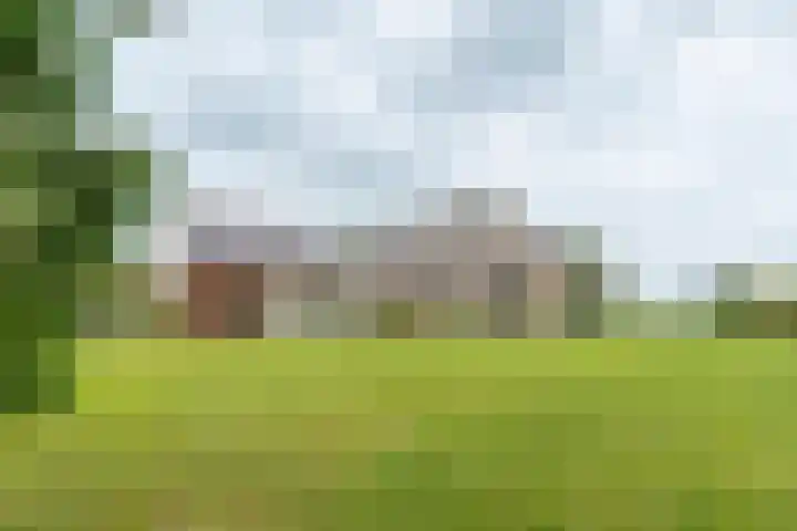 van Osingaweg 78 Schettens thumbnail 6
