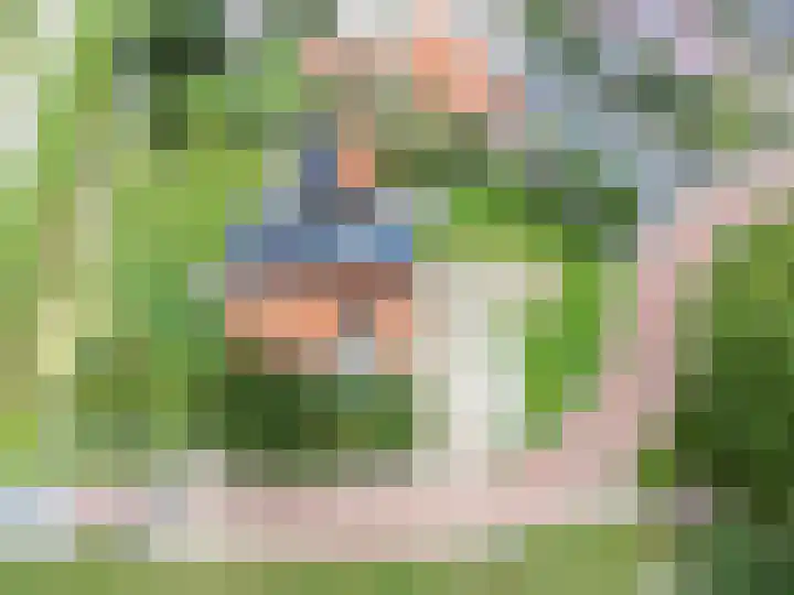 van Osingaweg 78 Schettens thumbnail 64