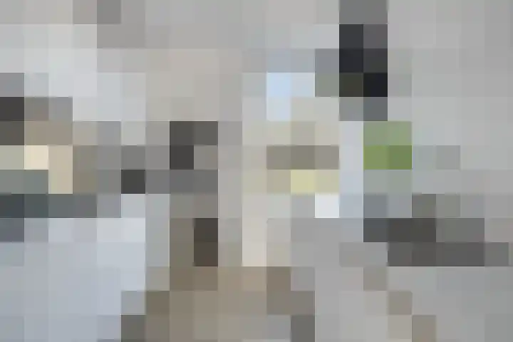 van Oss-straat 19 Kampen thumbnail 13