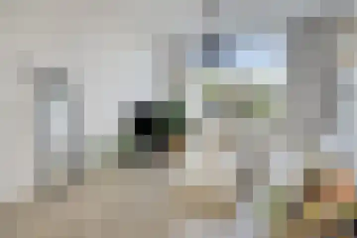van Oss-straat 19 Kampen thumbnail 8