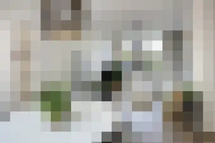 van Oss-straat 19 Kampen thumbnail 9