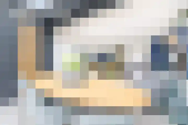 van Ostade 13 Monster thumbnail 11