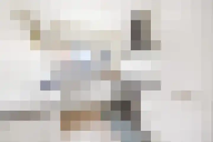 van Ostade 13 Monster thumbnail 14