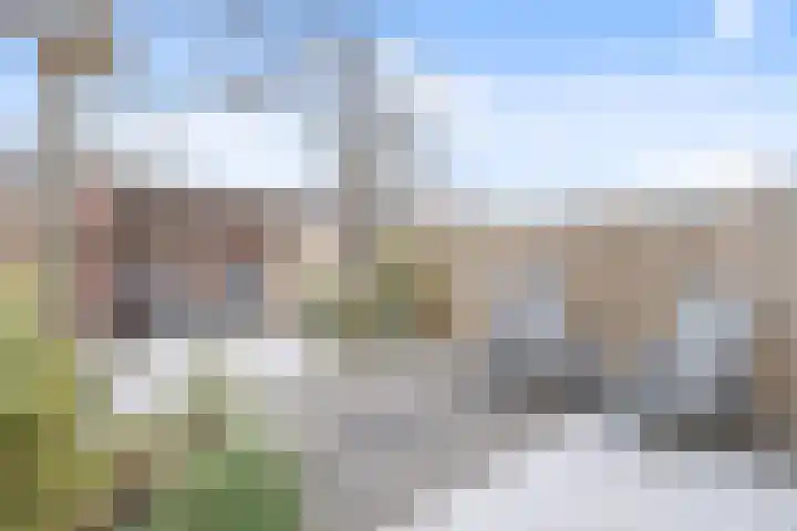 van Ostade 13 Monster thumbnail 18