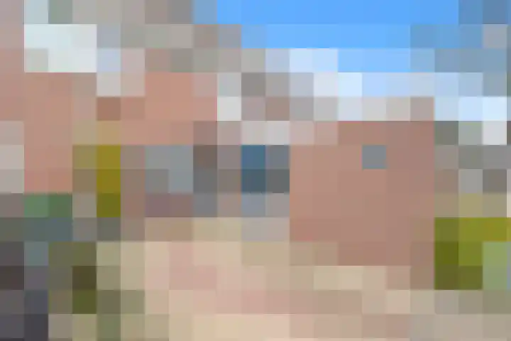 van Ostade 13 Monster thumbnail 4
