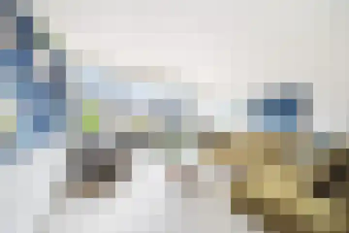 van Ostade 13 Monster thumbnail 8