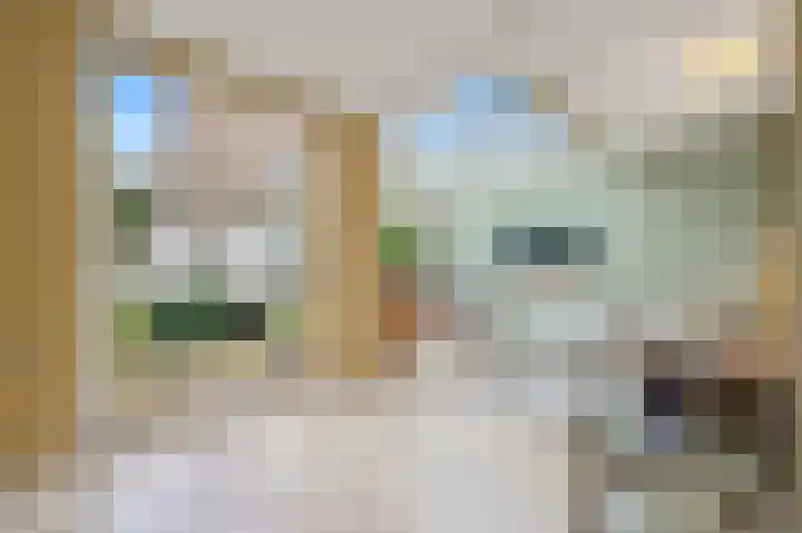 Van Reesstraat 122 Den Haag thumbnail 14