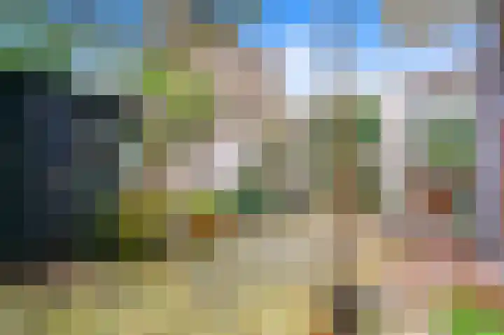 Van Reesstraat 122 Den Haag thumbnail 16