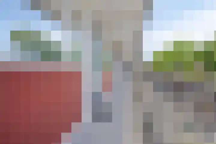 van Reysstraat 79 's-Hertogenbosch thumbnail 23