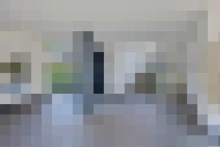 van Reysstraat 79 's-Hertogenbosch thumbnail 24