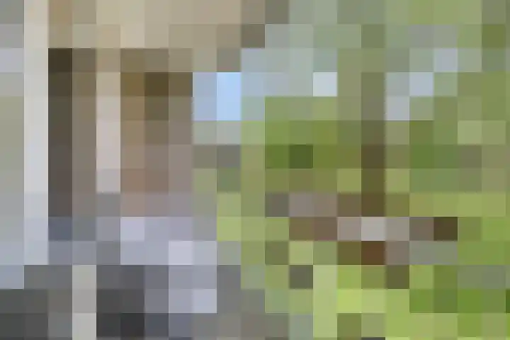 van Reysstraat 79 's-Hertogenbosch thumbnail 8