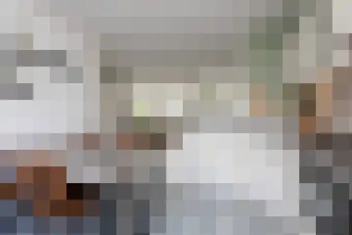 Team foto van Van Rhijn Makelaars