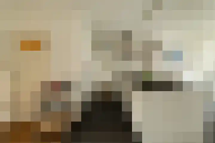 Van Riebeecklaan 11 Haarlem thumbnail 12