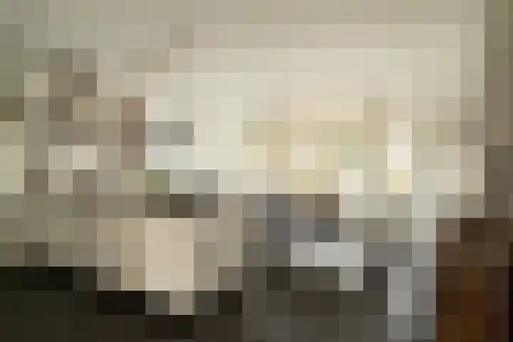 Van Riebeecklaan 11 Haarlem thumbnail 14