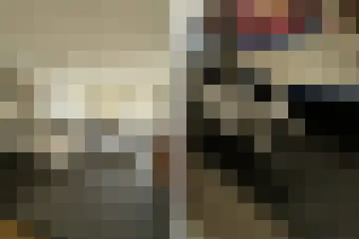 Van Riebeecklaan 11 Haarlem thumbnail 15