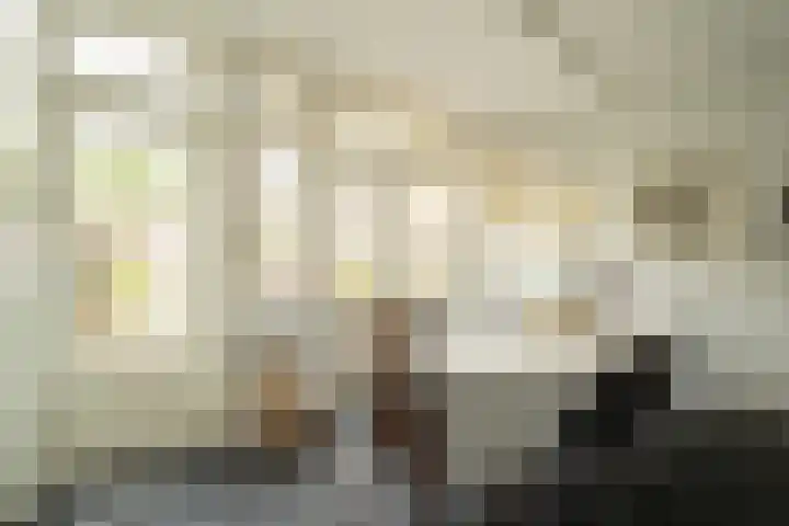 Van Riebeecklaan 11 Haarlem thumbnail 16