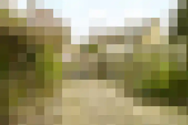 Van Riebeecklaan 11 Haarlem thumbnail 17