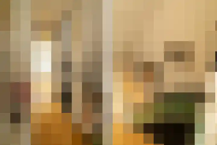 Van Riebeecklaan 11 Haarlem thumbnail 22