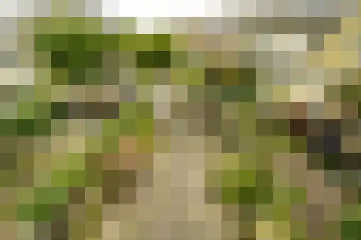 Van Riebeecklaan 11 Haarlem thumbnail 27