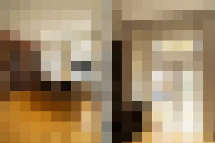 Van Riebeecklaan 11 Haarlem thumbnail 30
