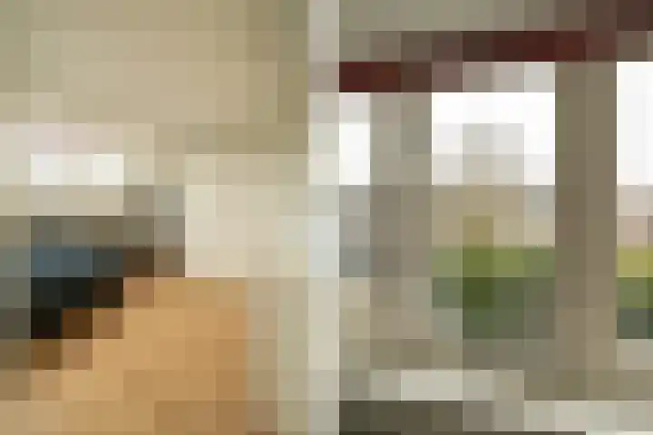 Van Riebeecklaan 11 Haarlem thumbnail 35