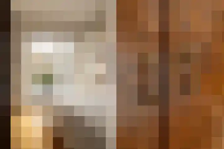 Van Riebeecklaan 11 Haarlem thumbnail 4
